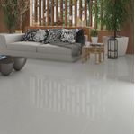 Porcelanato-58x58cm-Tipo-C-Cinza-Cristal-Polido-Tecnogres--1-.jpg