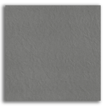 Porcelanato 120x120cm Retificado Fgmf Silica Tipo A Matte Eliane.png