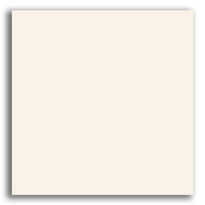 Porcelanato 70x70 Retificado Technatto Crema Polido Tipo C Cerbras