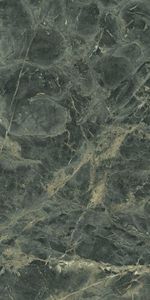 f01-forest-t21-thumb_480p.jpg
