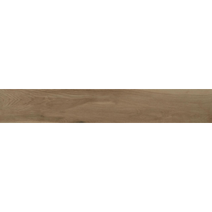 Porcelanato 19.7x120cm Retificado Reserva Natural Tipo A Eliane