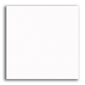 Cerâmica Tipo A Cerâmico Monocolor Branco Brilhante Borda Reta Interno 67x67cm Riviera Arielle