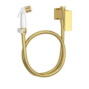 Ducha Higiênica com Registro e Derivação de Parede Gold Deca