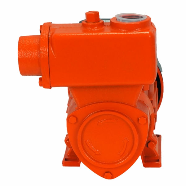 bomba_agua_autoaspirante_intech_machine_bpa500_bivolt_1566845944_73ce_600x600