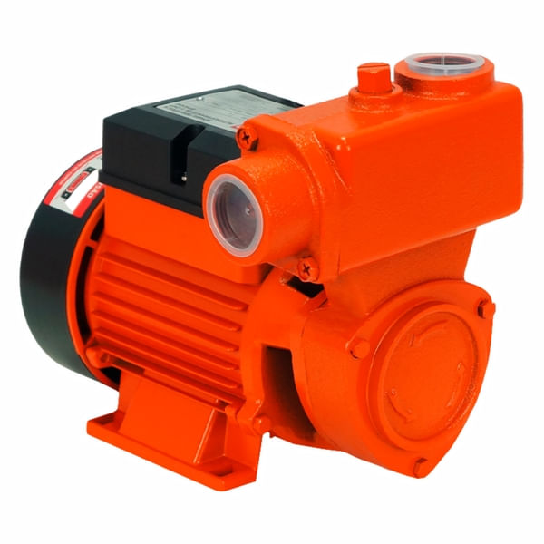 bomba_agua_autoaspirante_intech_machine_bpa500_bivolt_1566845944_25a9_600x600