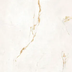 Porcelanato Marmorizado Natural 120x120cm Branco Parana Gold Wh Portinari